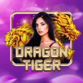 Dragon Tiger fb030 app live casino