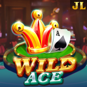 Wild Ace fb030 slot Game
